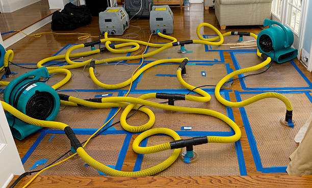 Professional Basement Flood Cleanup technician working in Glenwood, MN